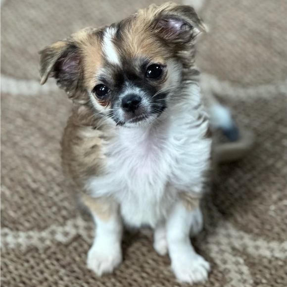 Hello My Posh Friends!! - Picture 6 of 11